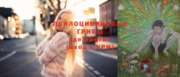 первитин Лабытнанги
